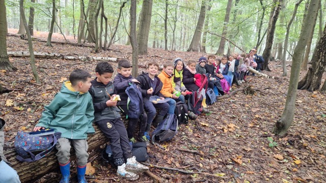 header_nieuwsWeekVanHetBos-2024-10-16